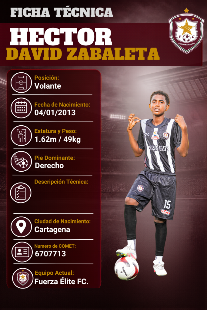 Ficha técnica de Hector David Zabaleta Macareno
