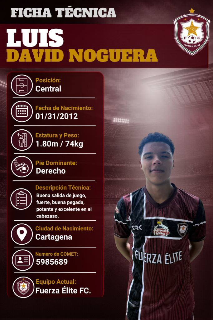 Ficha técnica de Luis David Noguera Perez