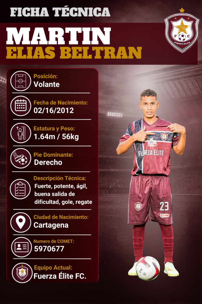 Ficha técnica de Martin Elias Beltran Perez