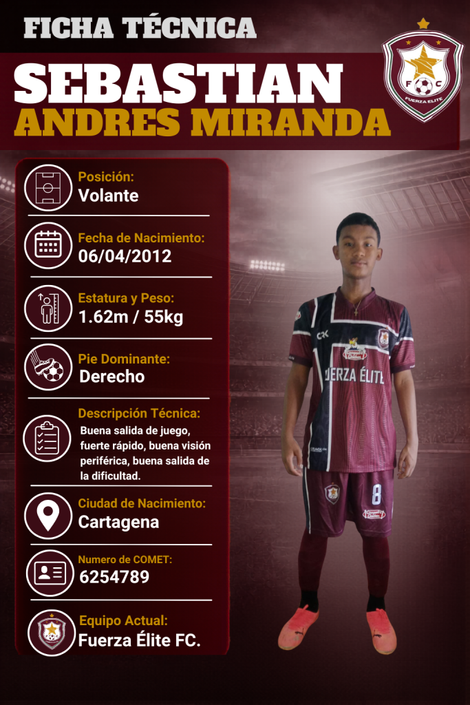 Ficha técnica de Sebastian Andres Miranda Arnedo